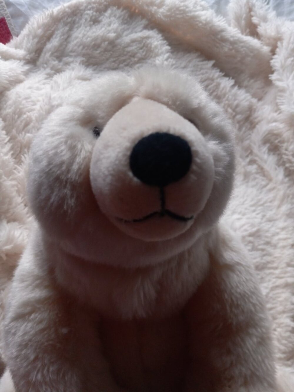 Large white bear